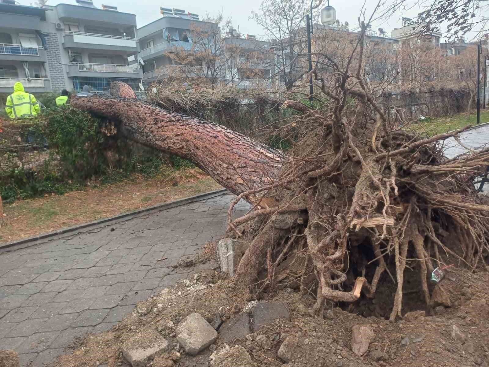 Salihli’yi fırtına vurdu, ağaçlar devrildi, çatılar uçtu
