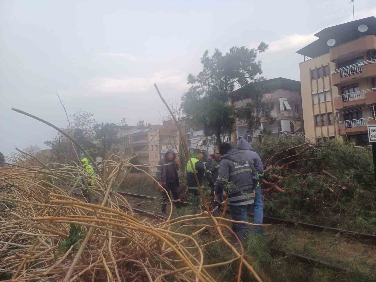 Salihli’yi fırtına vurdu, ağaçlar devrildi, çatılar uçtu
