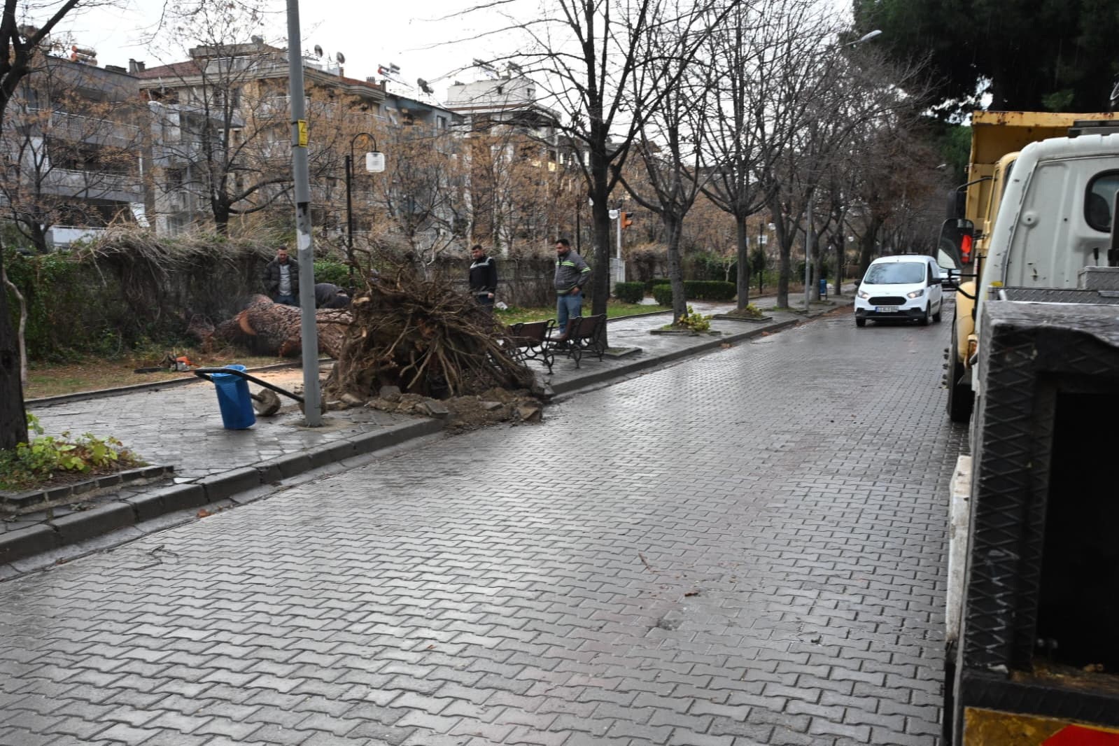 Salihli’yi fırtına vurdu, ağaçlar devrildi, çatılar uçtu
