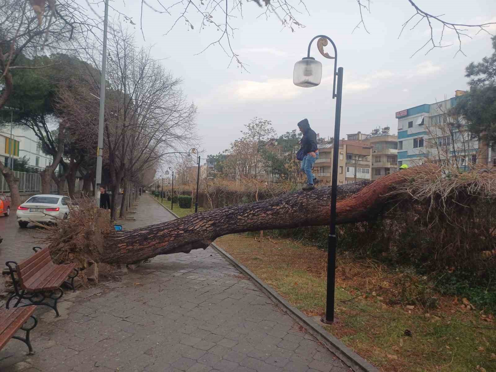 Salihli’yi fırtına vurdu, ağaçlar devrildi, çatılar uçtu
