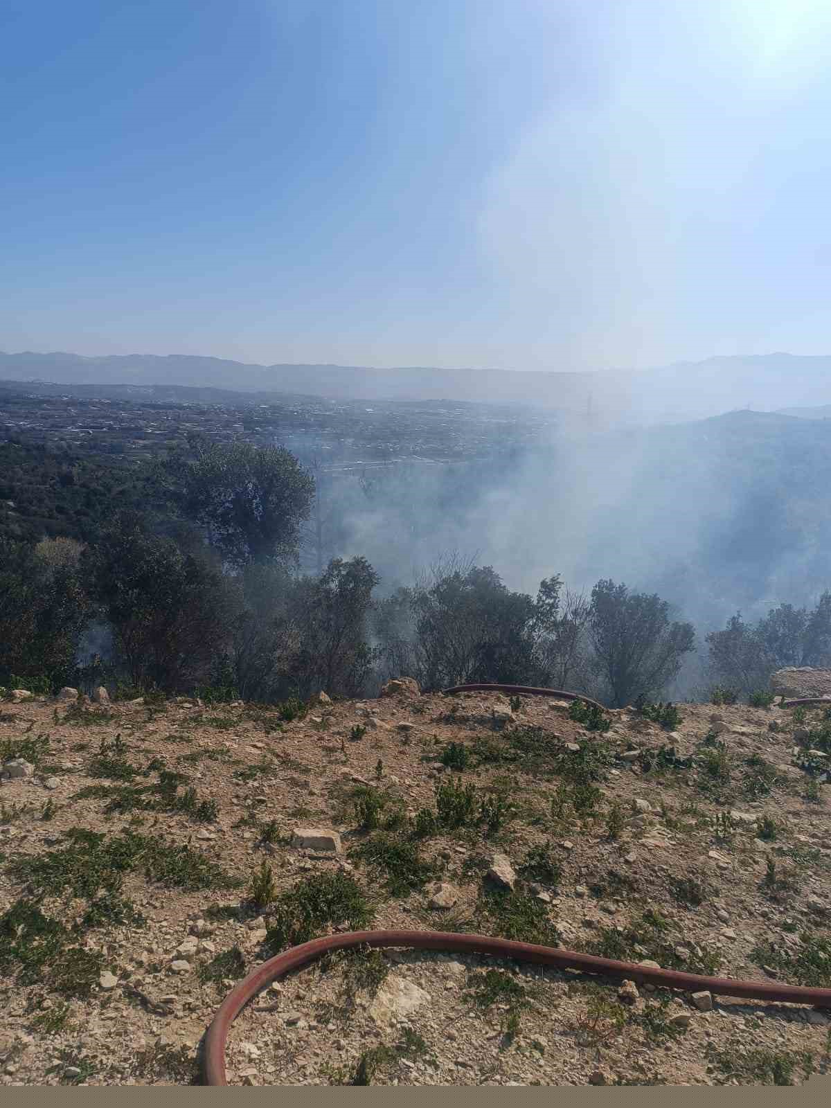 Samandağ’da ormanlık alanda çıkan yangın kısa sürede kontrol altına alındı
