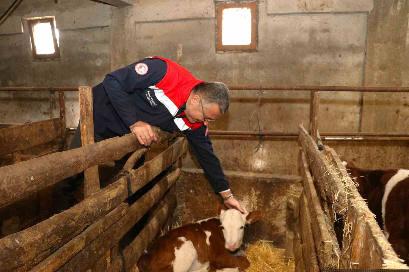 Samsun’da ari işletme sayısı artıyor
