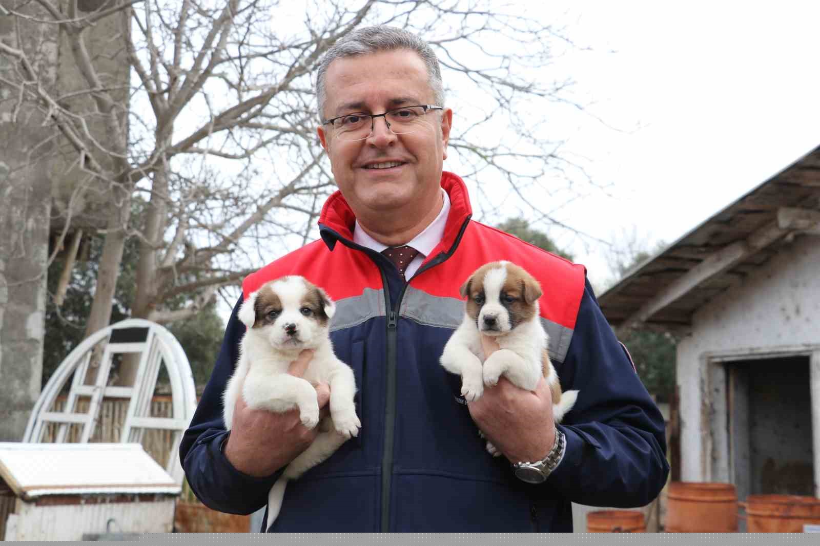 Samsun’da ari işletme sayısı artıyor
