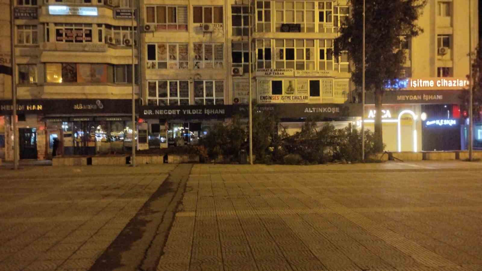 Samsun’da fırtına ağaç devirdi
