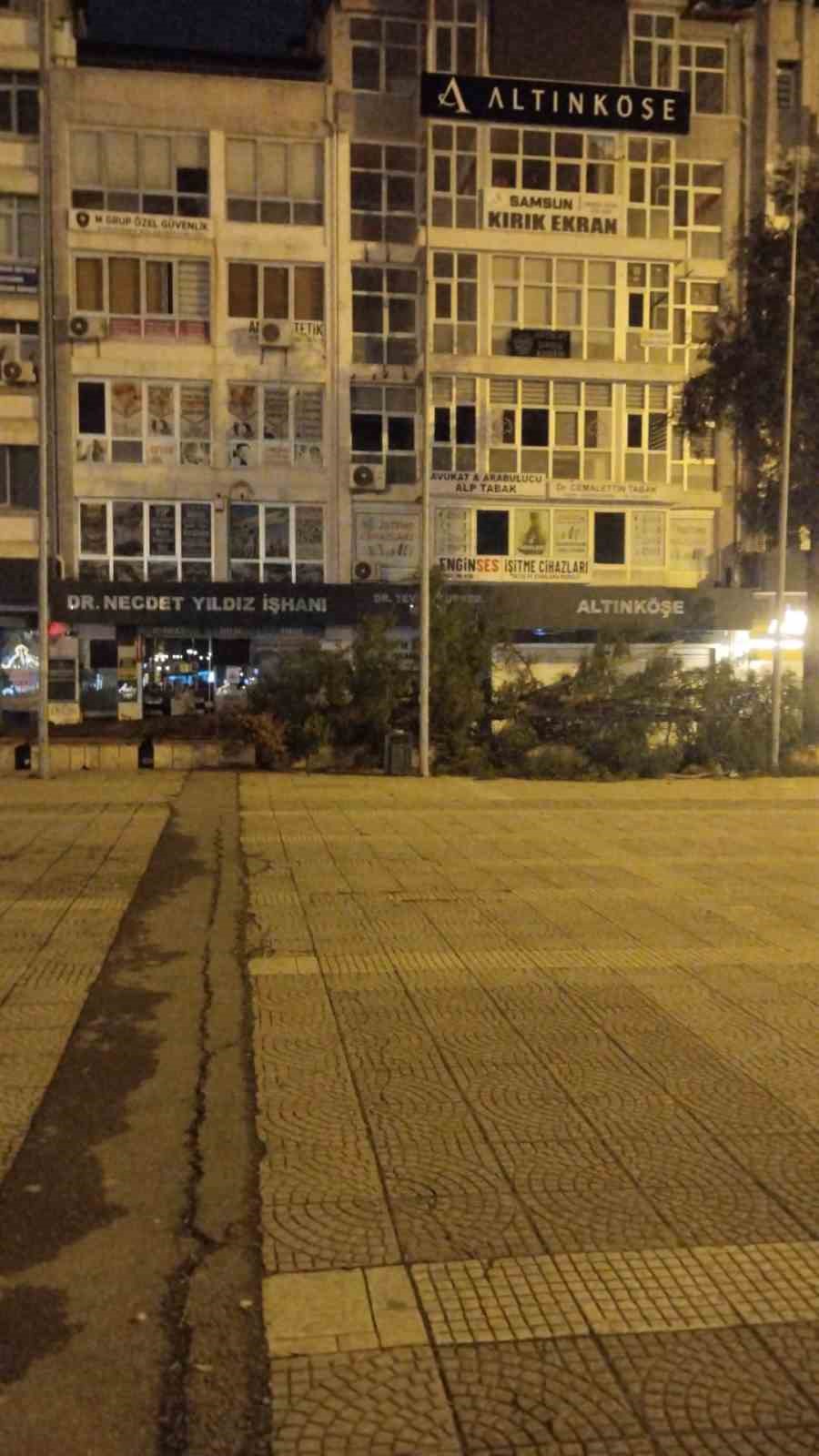 Samsun’da fırtına ağaç devirdi
