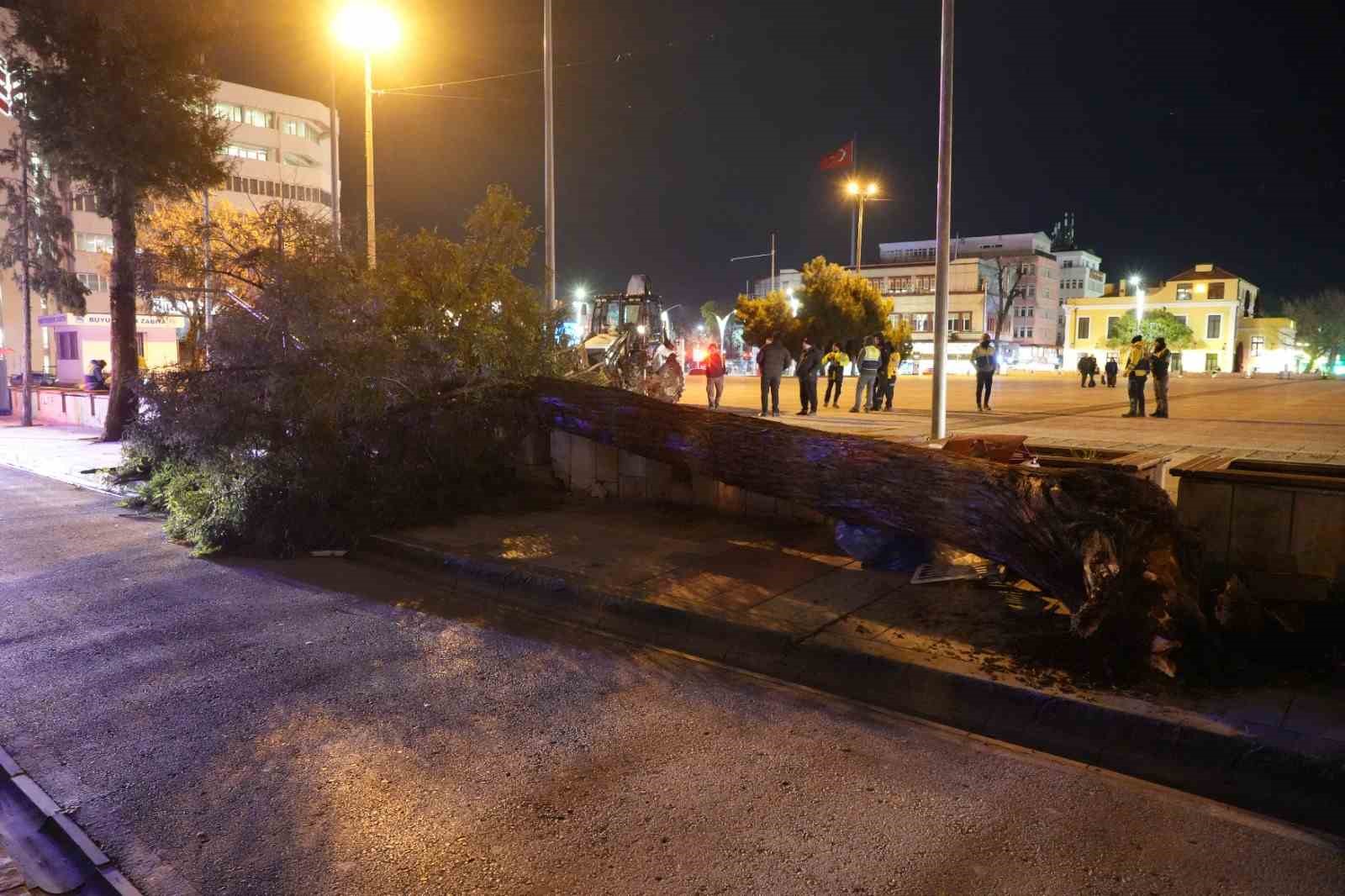 Samsun’da fırtına çatıları uçurdu, ağaçları devirdi
