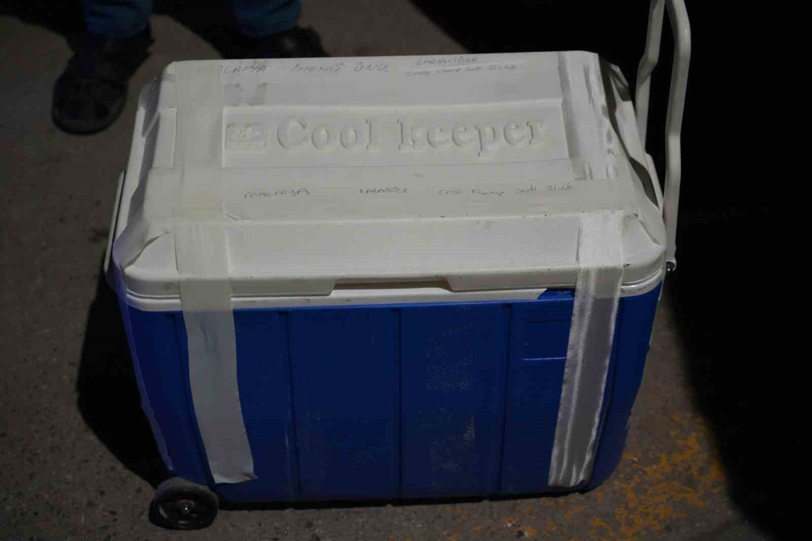 Samsun’da genç kızın organları 4 kişiye umut oldu
