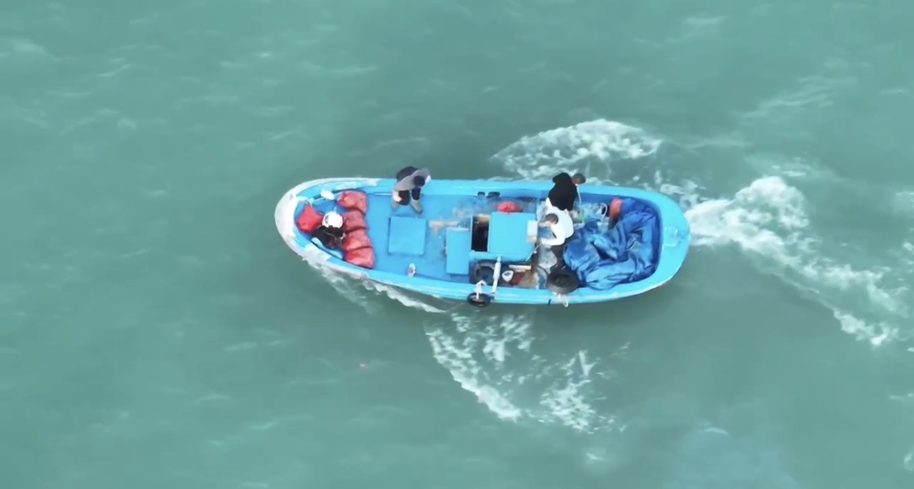 Samsun’da havadan ve denizden kaçak avcılık denetimi
