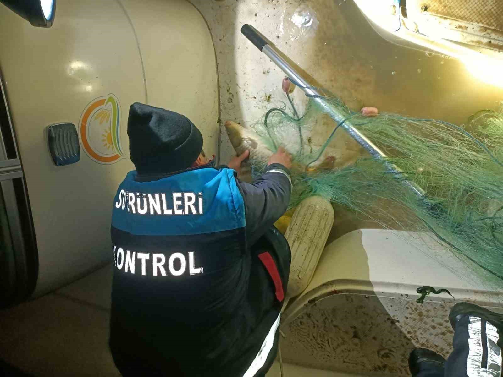 Samsun’da kaçak avcılığa geçit yok: 60 kiloluk sazan geri salındı
