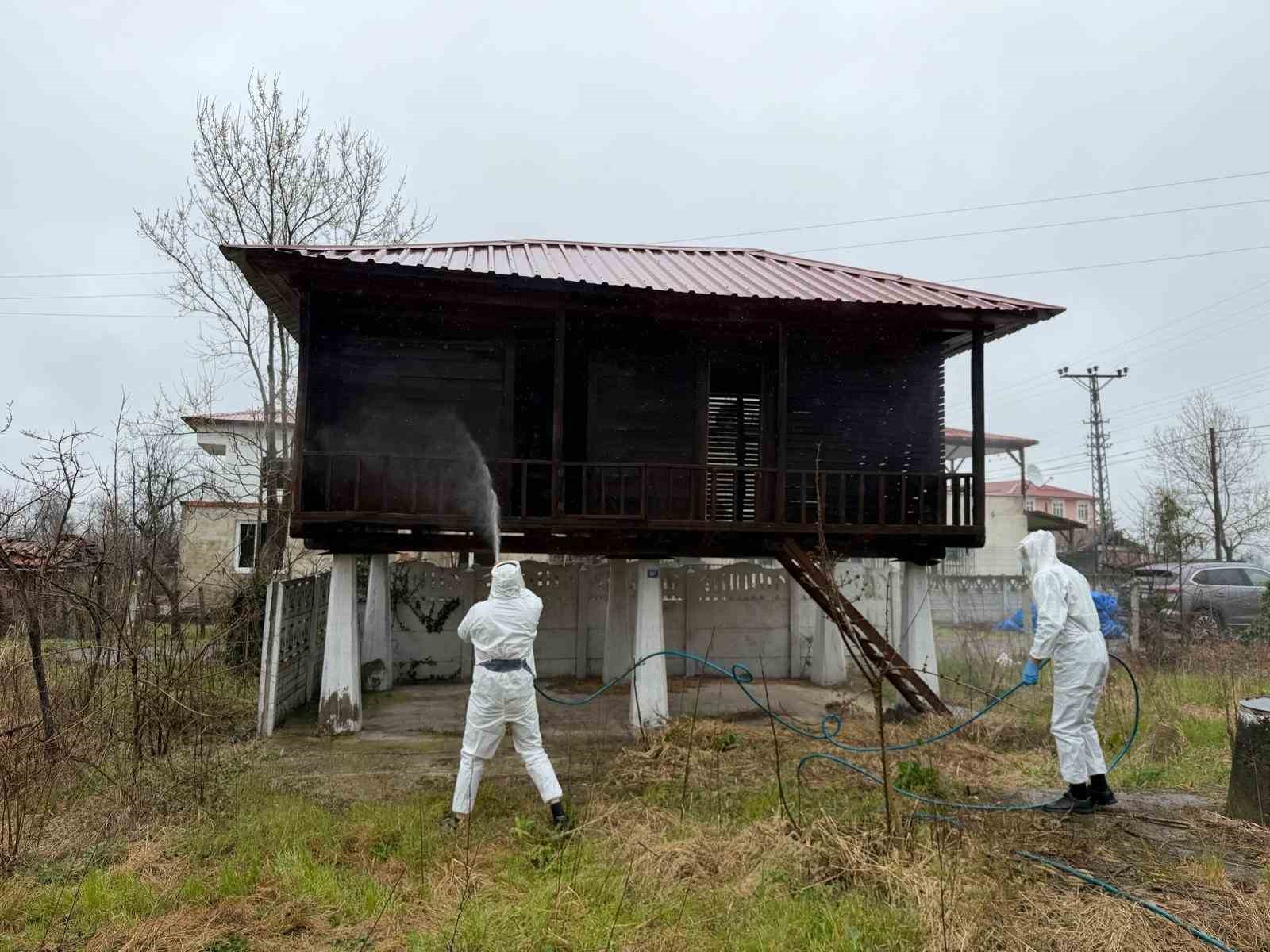 Samsun’da kokarca zararlısına karşı mücadele sürüyor
Samsun’da kokarca zararlısına karşı mücadele sürüyor