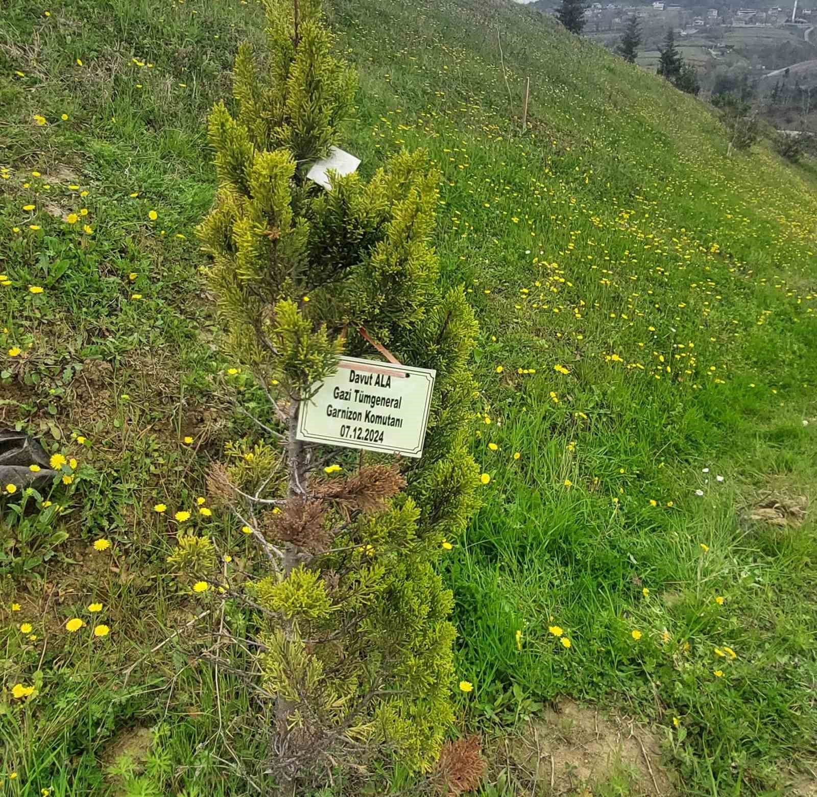 Samsun’da Mehmetçik Hatıra Ormanı’na fidan dikildi
