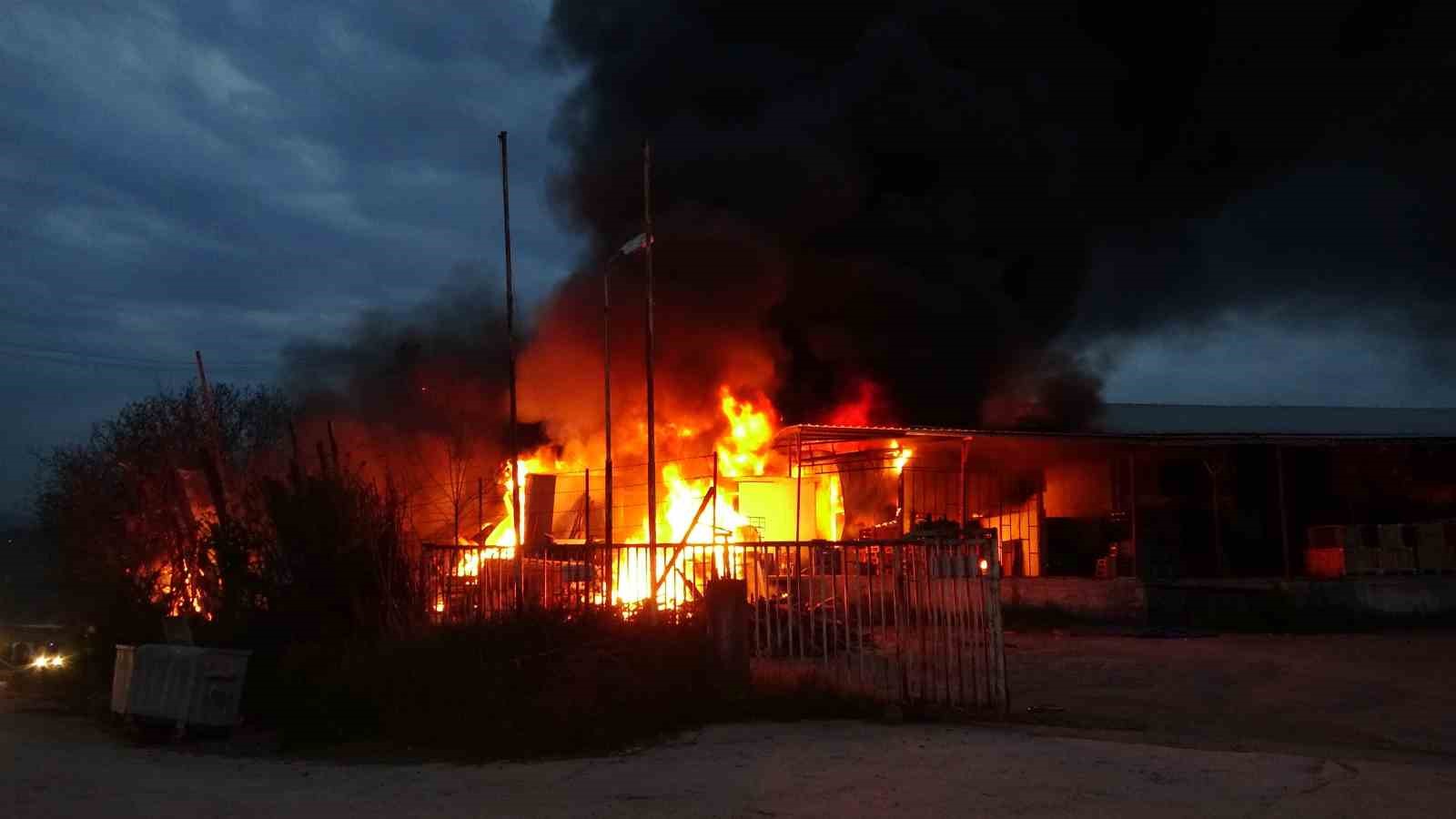 Samsun’da meyve deposunda yangın: Ekipler müdahale ediyor
