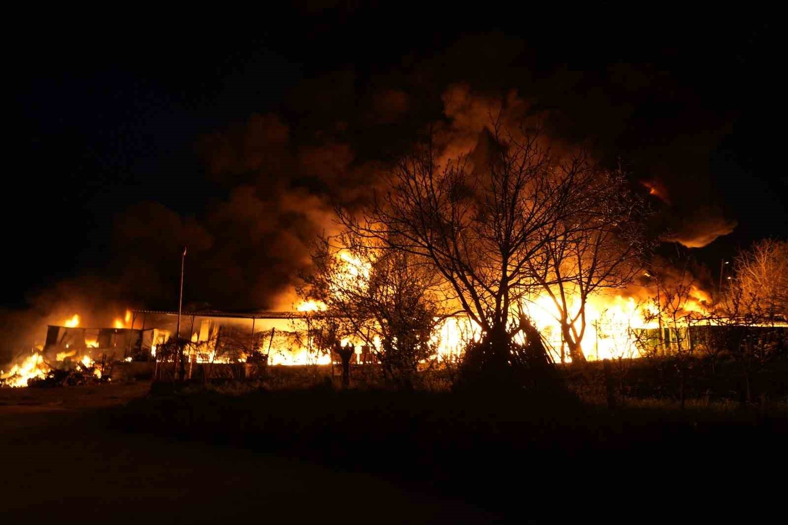 Samsun’da muz deposunda yangın: Alevler göğe yükseldi
