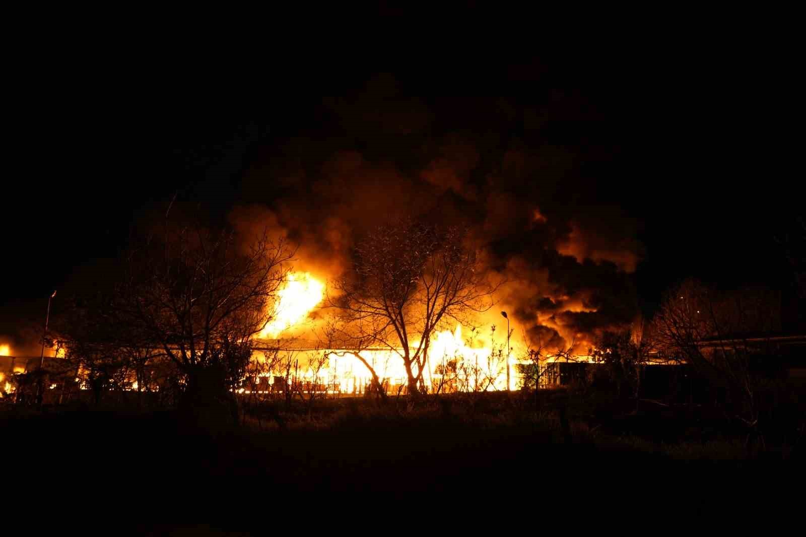 Samsun’da muz deposunda yangın: Alevler göğe yükseldi
