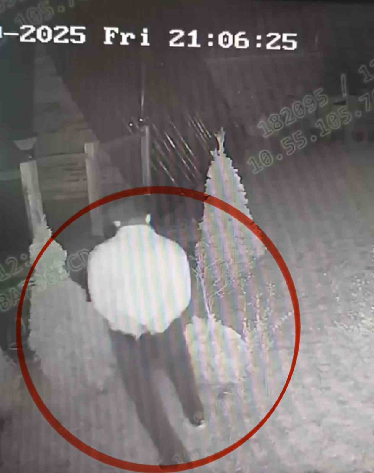 Samsun’da "Son Balkon" operasyonu: 5 milyonluk hırsızlık şebekesi çökertildi
