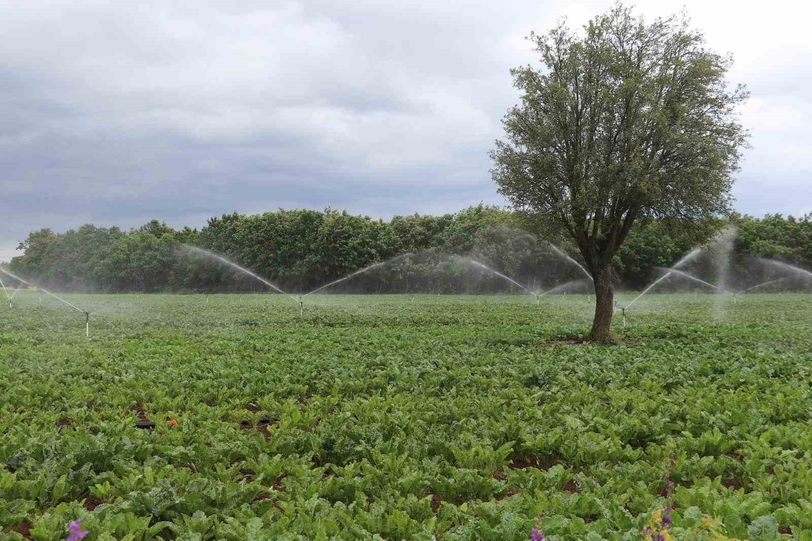 Samsun’da tarım, hayvancılık ve kırsal kalkınmaya 3 milyar TL üzerinde destek
