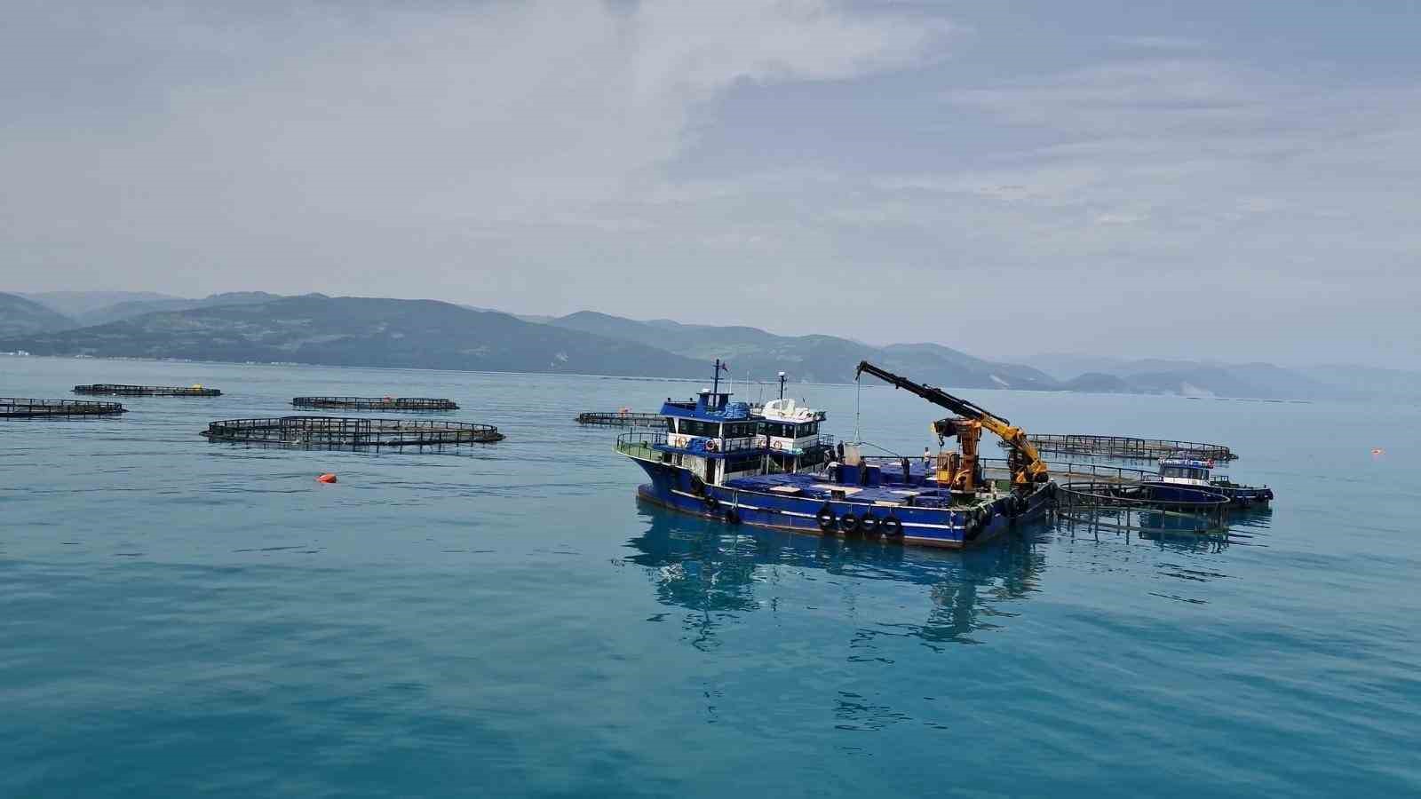 Samsun’da tarım, hayvancılık ve kırsal kalkınmaya 3 milyar TL üzerinde destek
