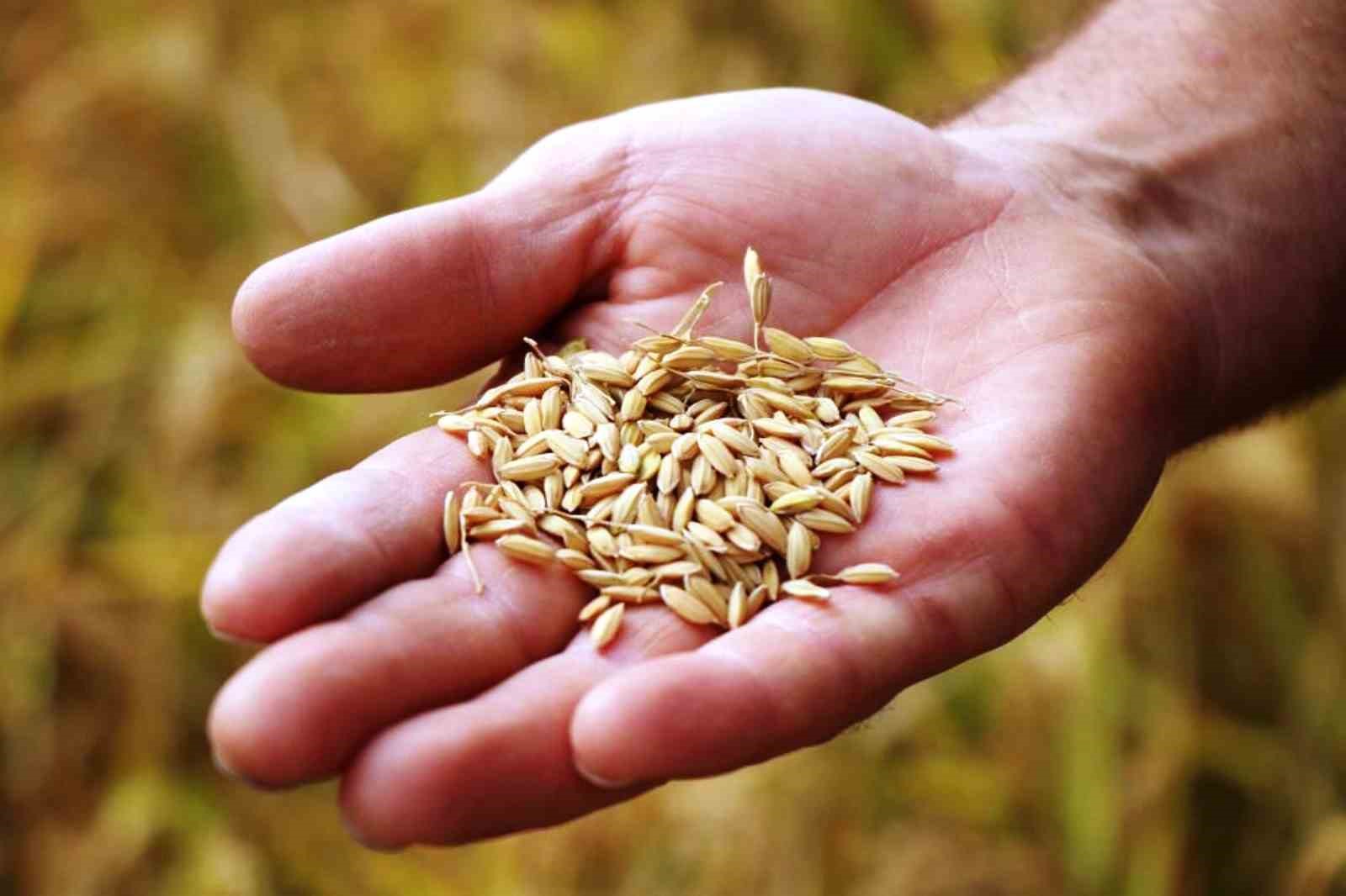 Samsun’da tarımsal üretime 6 milyara yakın destek ödemesi yapıldı
