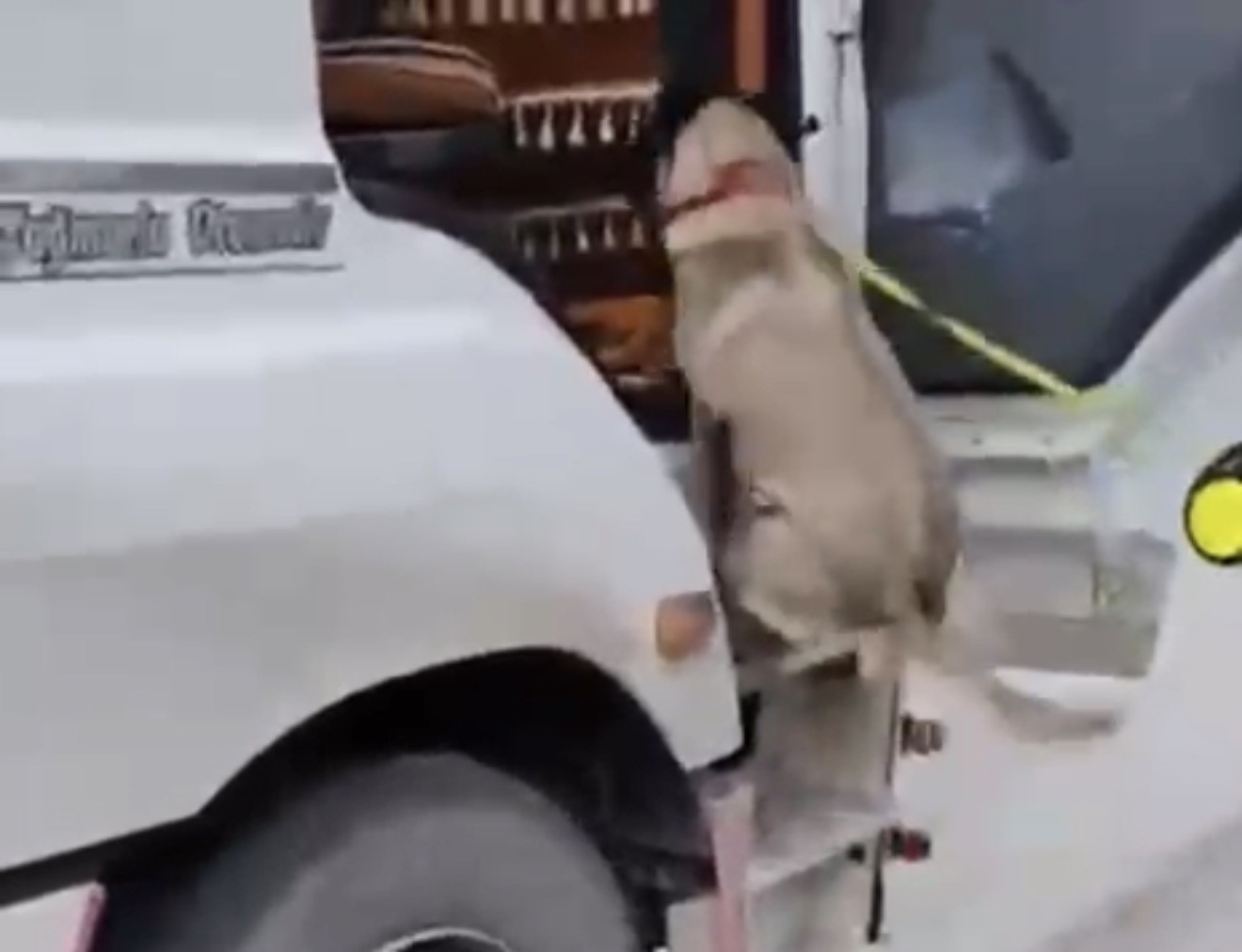 Samsun’da tırda metamfetamin ele geçirildi
