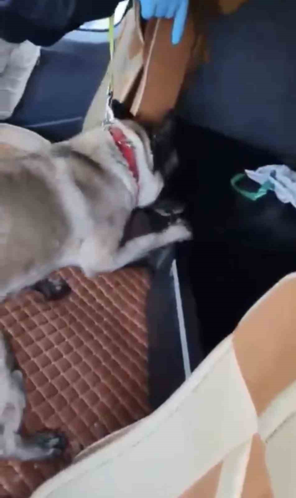 Samsun’da tırda metamfetamin ele geçirildi
