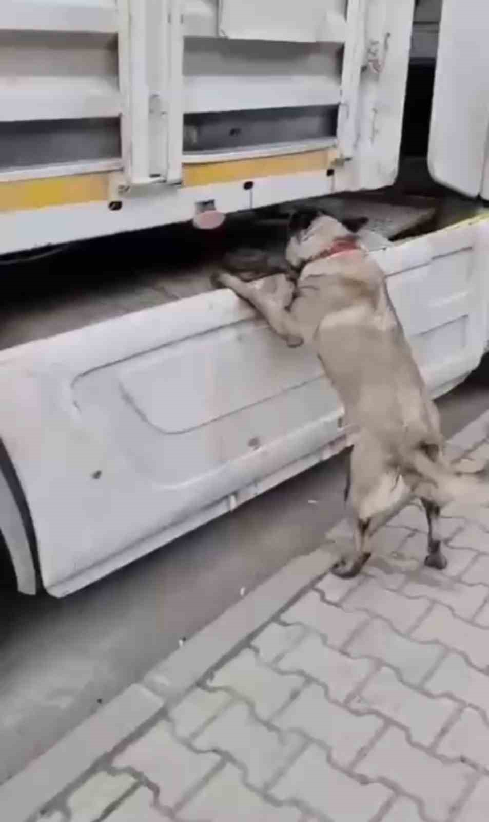 Samsun’da tırda metamfetamin ele geçirildi
