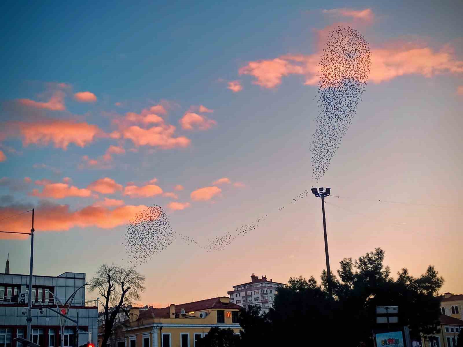 Samsun’dan objektife yansıyanlar: Gökyüzü büyüledi, şehir ışıkları geceyi aydınlattı
