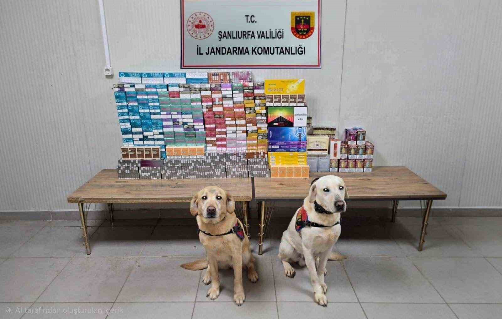 Şanlıurfa’da 27 şahıs hakkında kaçakçılıktan işlem yapıldı
