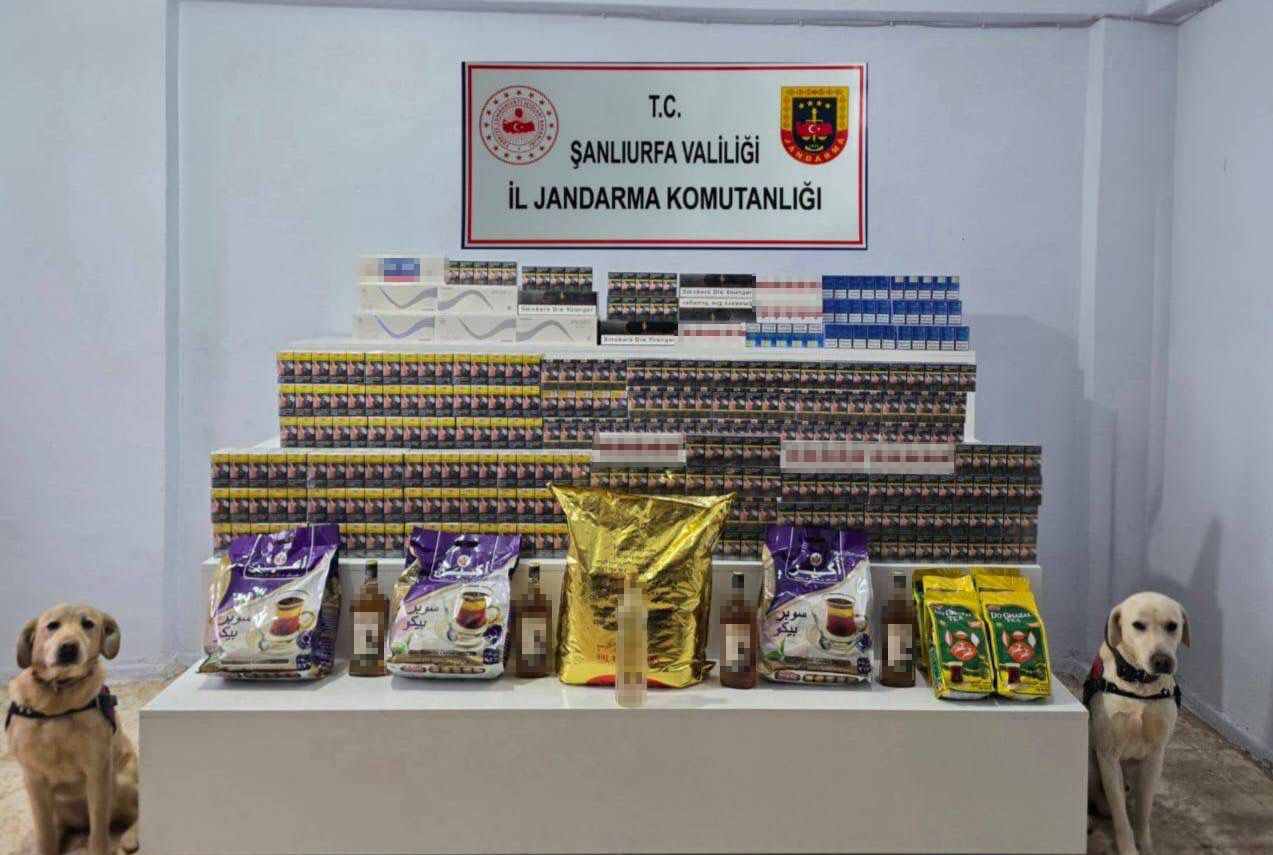 Şanlıurfa’da 9 bin 440 paket gümrük kaçağı sigara ele geçirildi

