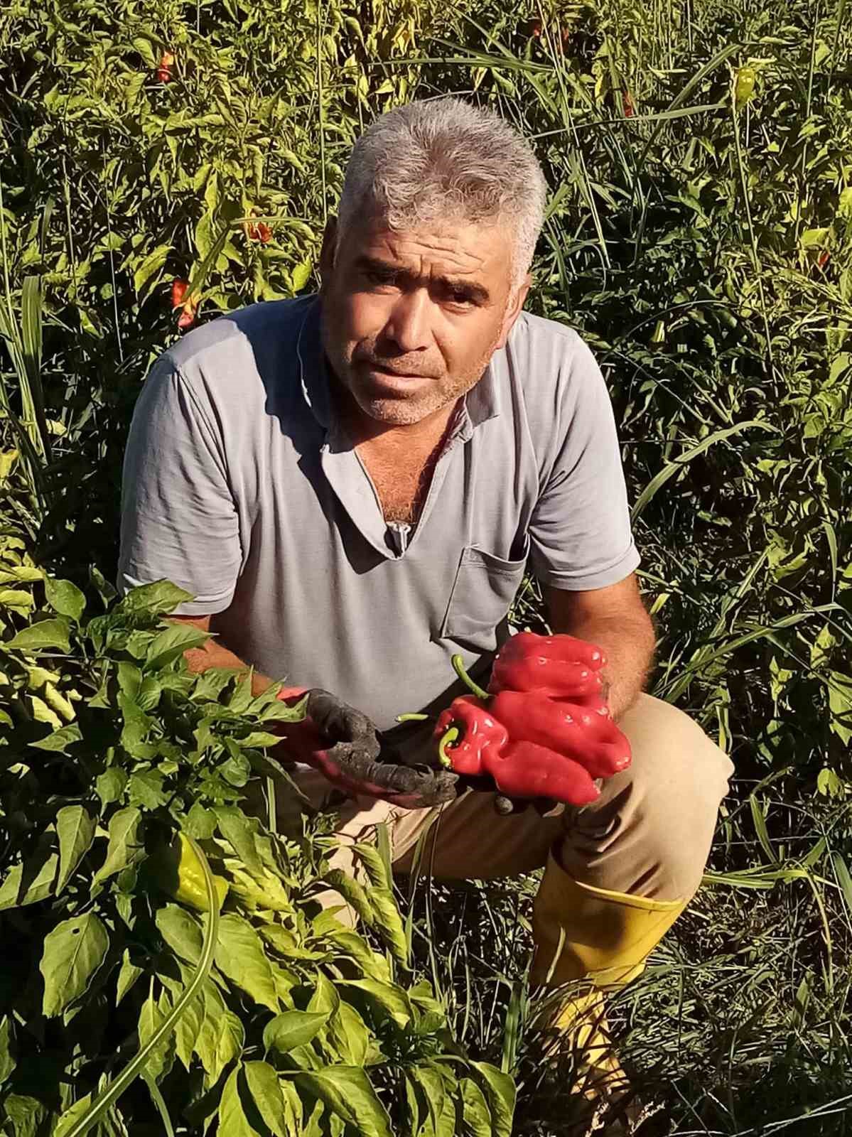 Şanlıurfa’da asansör faciası: Boşluğa düşen servis şoförü hayatını kaybetti
