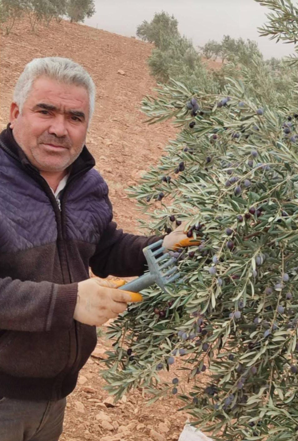 Şanlıurfa’da asansör faciası: Boşluğa düşen servis şoförü hayatını kaybetti
