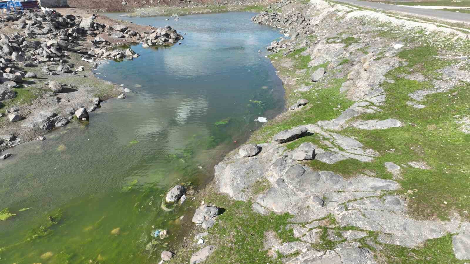Şanlıurfa’da beyaz örtü yerini yeşil örtüye bıraktı, çiftçi ve besicinin yüzü güldü
