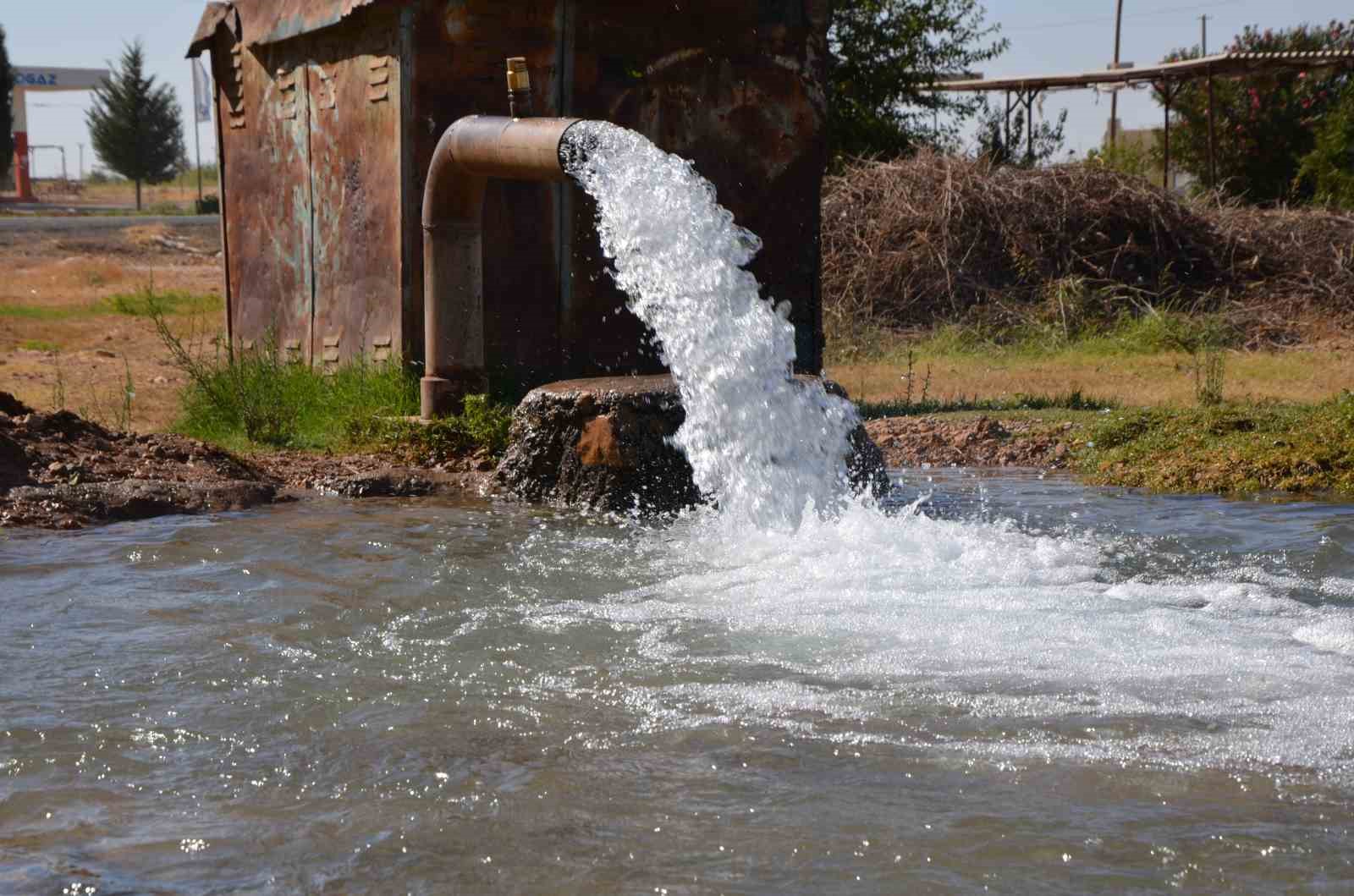 Şanlıurfa’da elektriğin yarısının kaçak kullanıldığı iddiası

