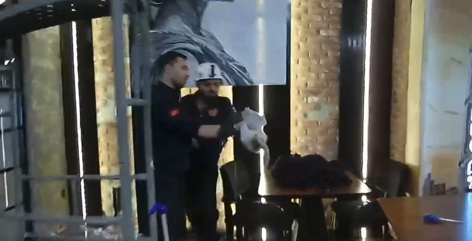 Şanlıurfa’da havalandırma boşluğunda mahsur kalan kedi kurtarıldı
