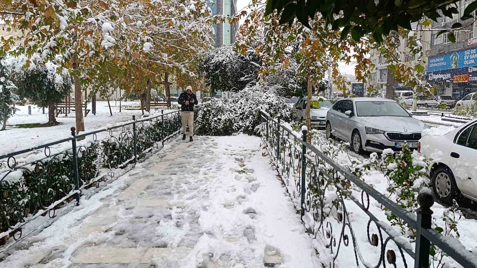 Şanlıurfa’da kar yağışı nedeniyle ağaç devrildi
