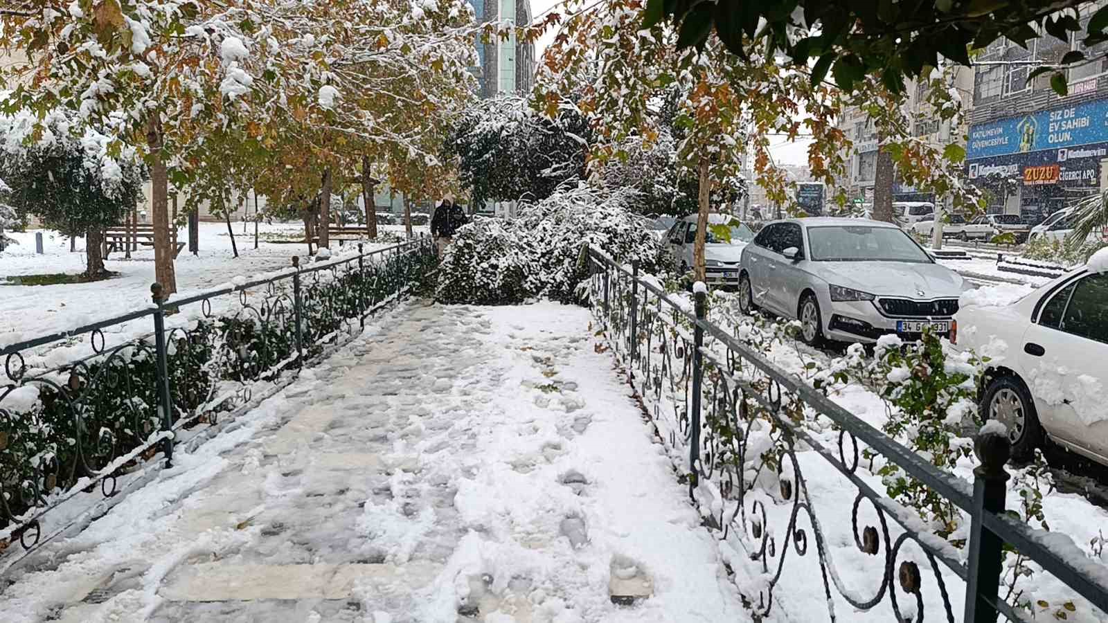 Şanlıurfa’da kar yağışı nedeniyle ağaç devrildi

