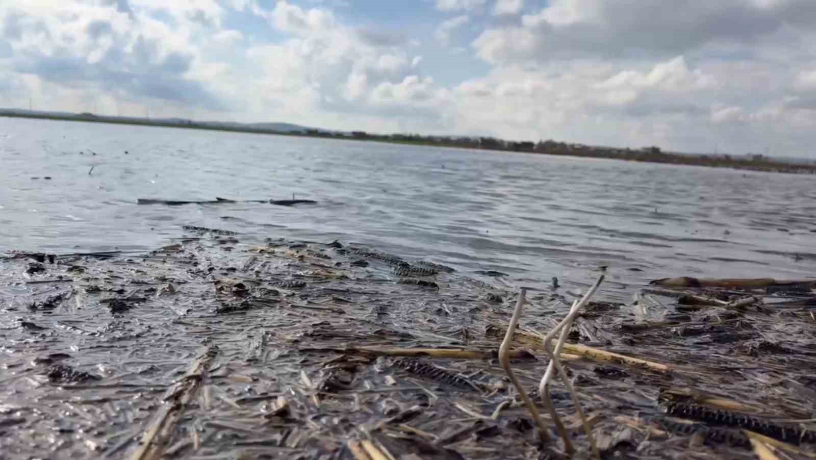 Şanlıurfa’da şiddetli yağışlar tarlaları göle çevirdi
