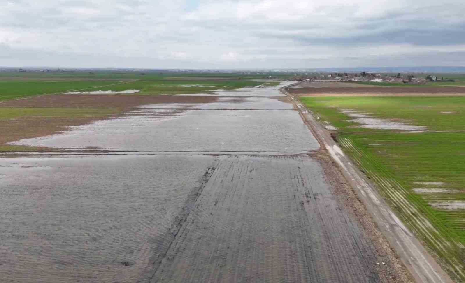 Şanlıurfa’da şiddetli yağışlar tarlaları göle çevirdi

