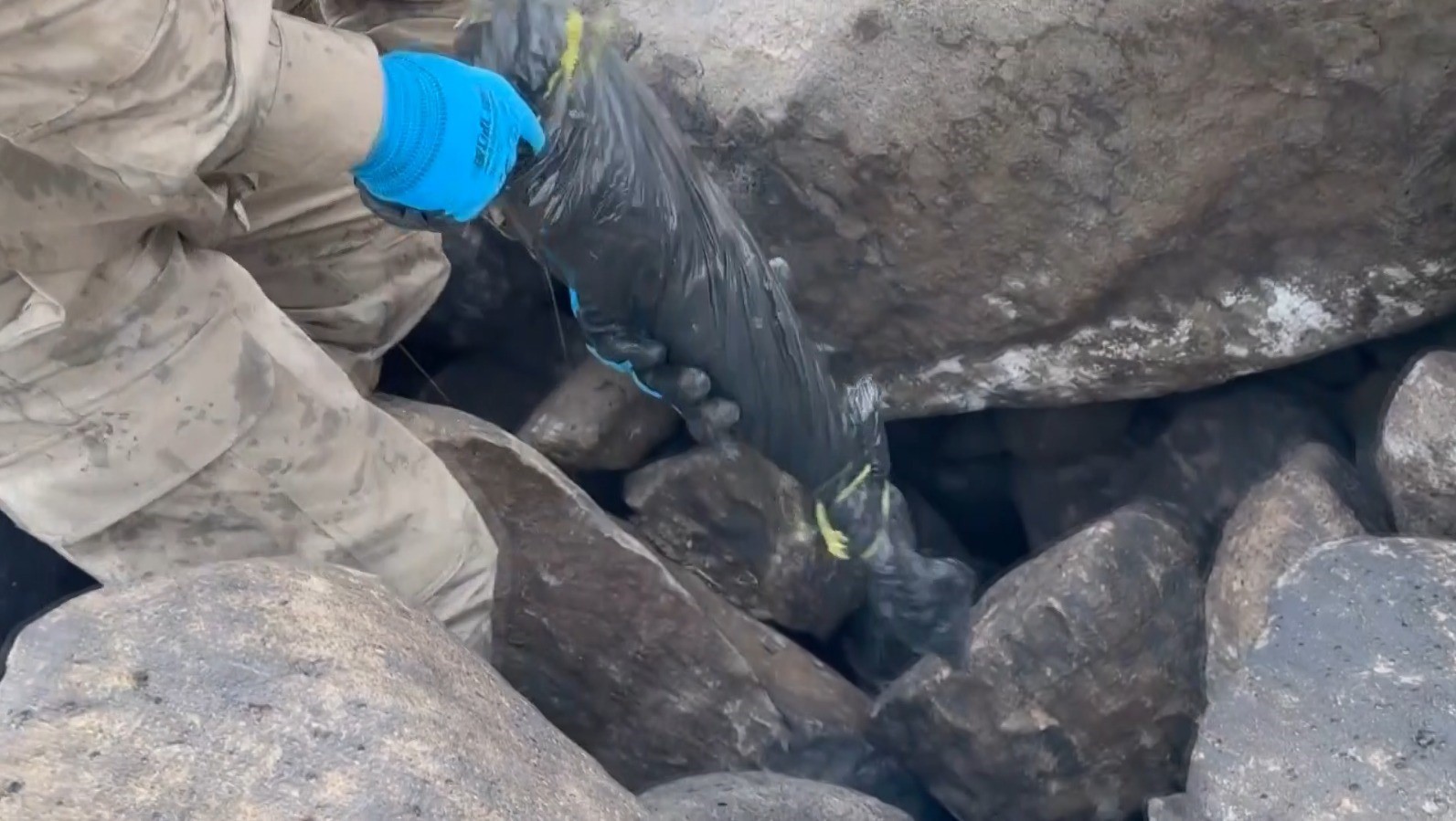 Şanlıurfa’da silah kaçakçılığı operasyonu: 8 gözaltı
