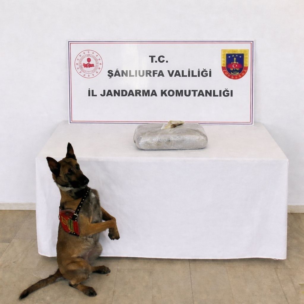 Şanlıurfa’da uyuşturucu operasyonunda 1 gözaltı
