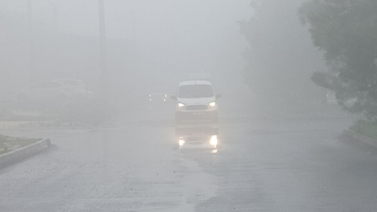 Şanlıurfa’da yoğun sis etkili oldu
