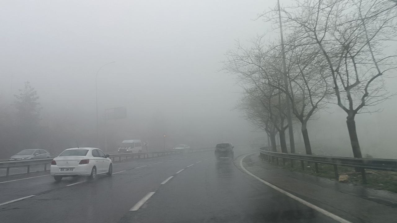 Şanlıurfa’da yoğun sis etkili oldu
