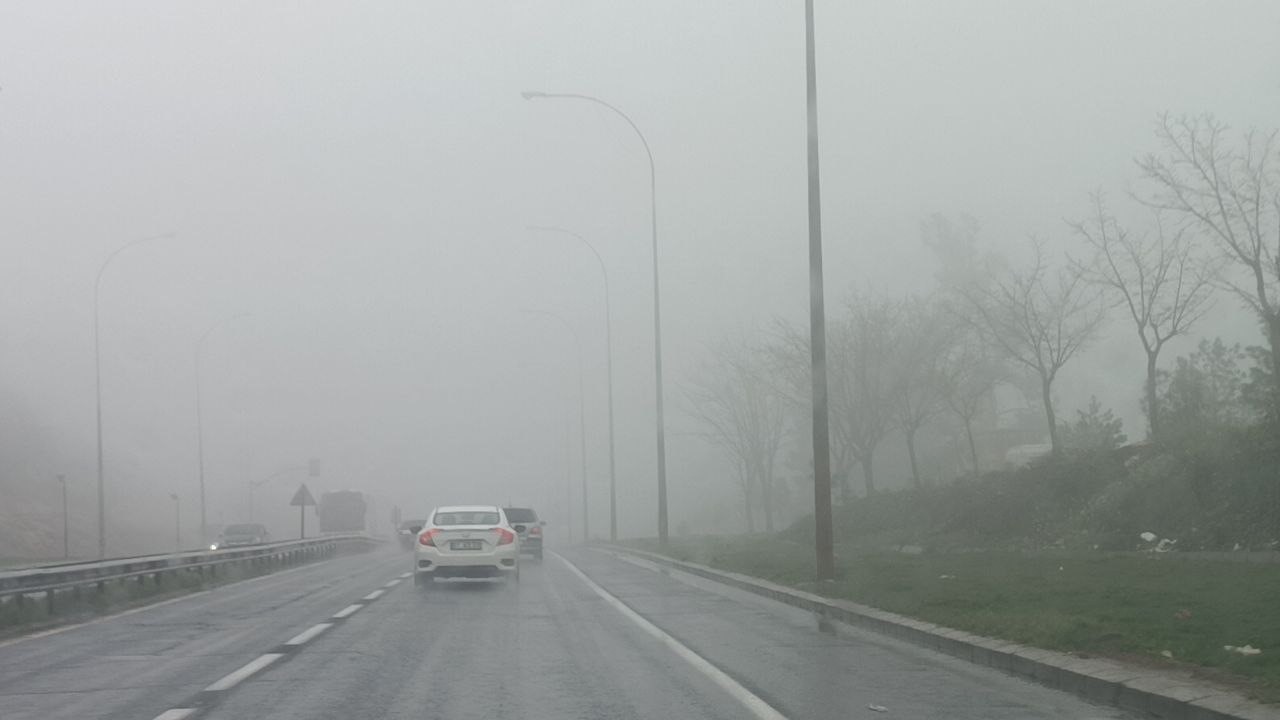 Şanlıurfa’da yoğun sis etkili oldu
