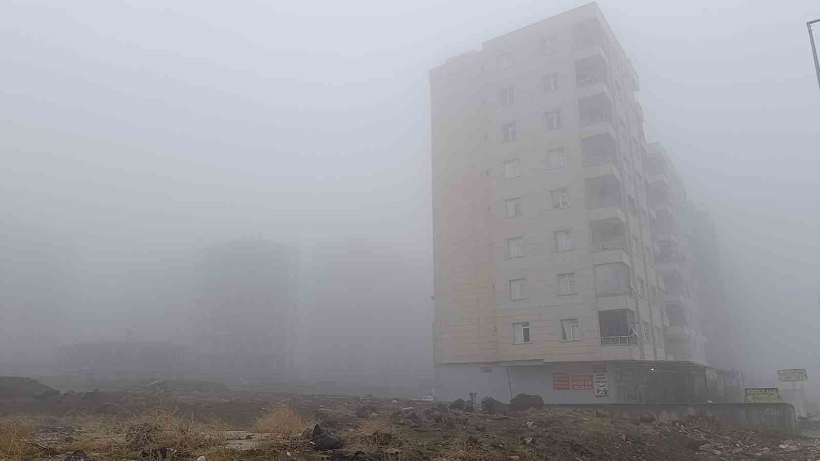 Şanlıurfa’da yoğun sis ve yağmur etkili oluyor
