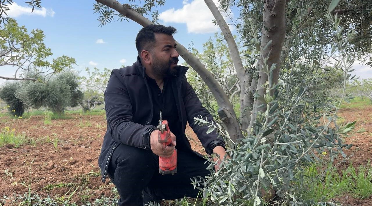 Şanlıurfa’da zeytin üreticilerine kritik uyarı
