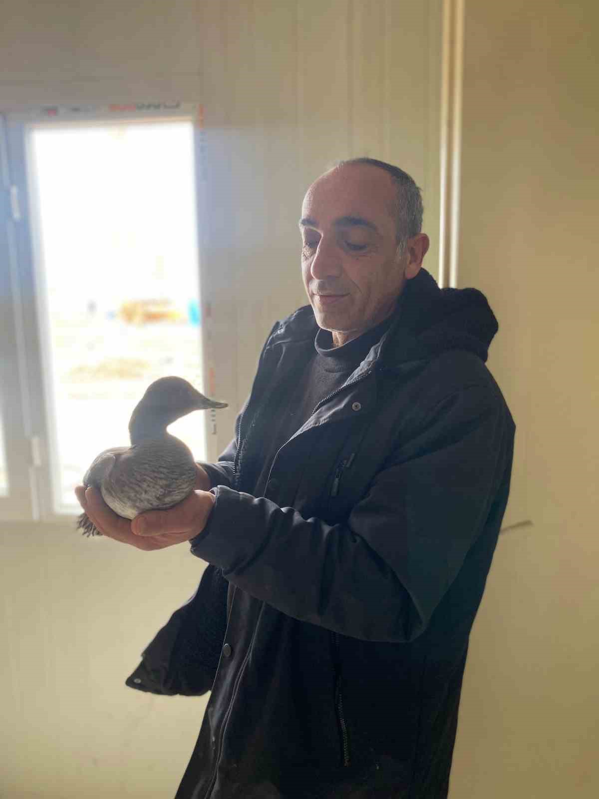 Şantiyede yaralı halde bulduğu ördeğe çocuğu gibi baktı
