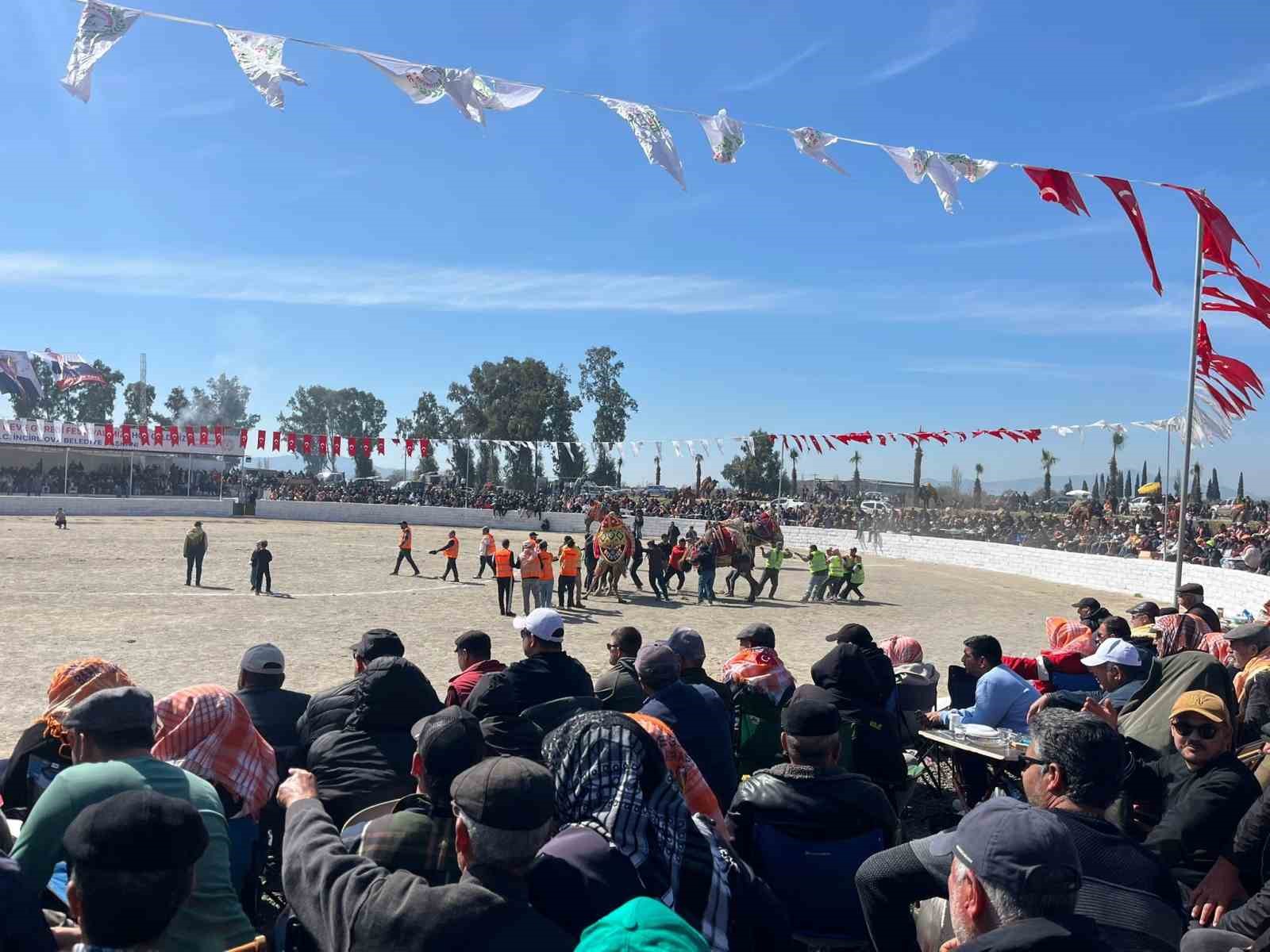 Şap karantinası kalktı, deve güreşleri İncirliova’da başladı
Şap karantinası kalktı, deve güreşleri İncirliova’da başladı