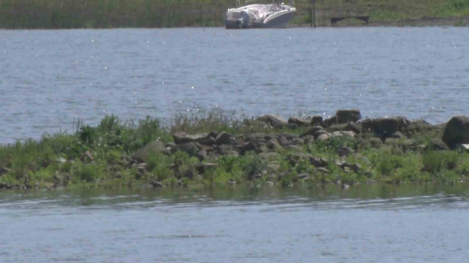 Sapanca Gölü çekildi: Gizemli ada yeniden ortaya çıktı
