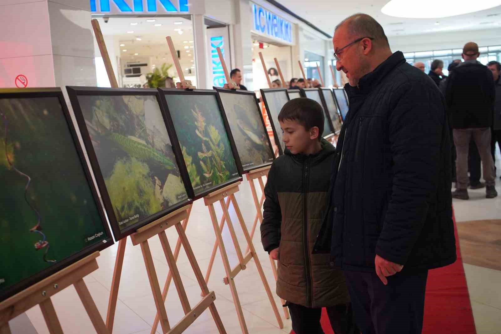 Sapanca Gölü fotoğrafları Gazze için umuda dönüştü: Geliri yetim ve öksüz çocuklara bağışlanacak

