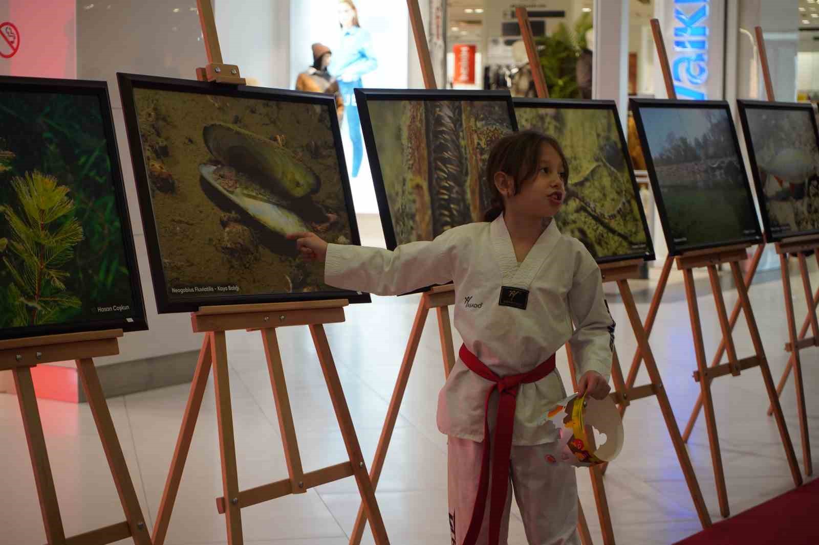 Sapanca Gölü fotoğrafları Gazze için umuda dönüştü: Geliri yetim ve öksüz çocuklara bağışlanacak
