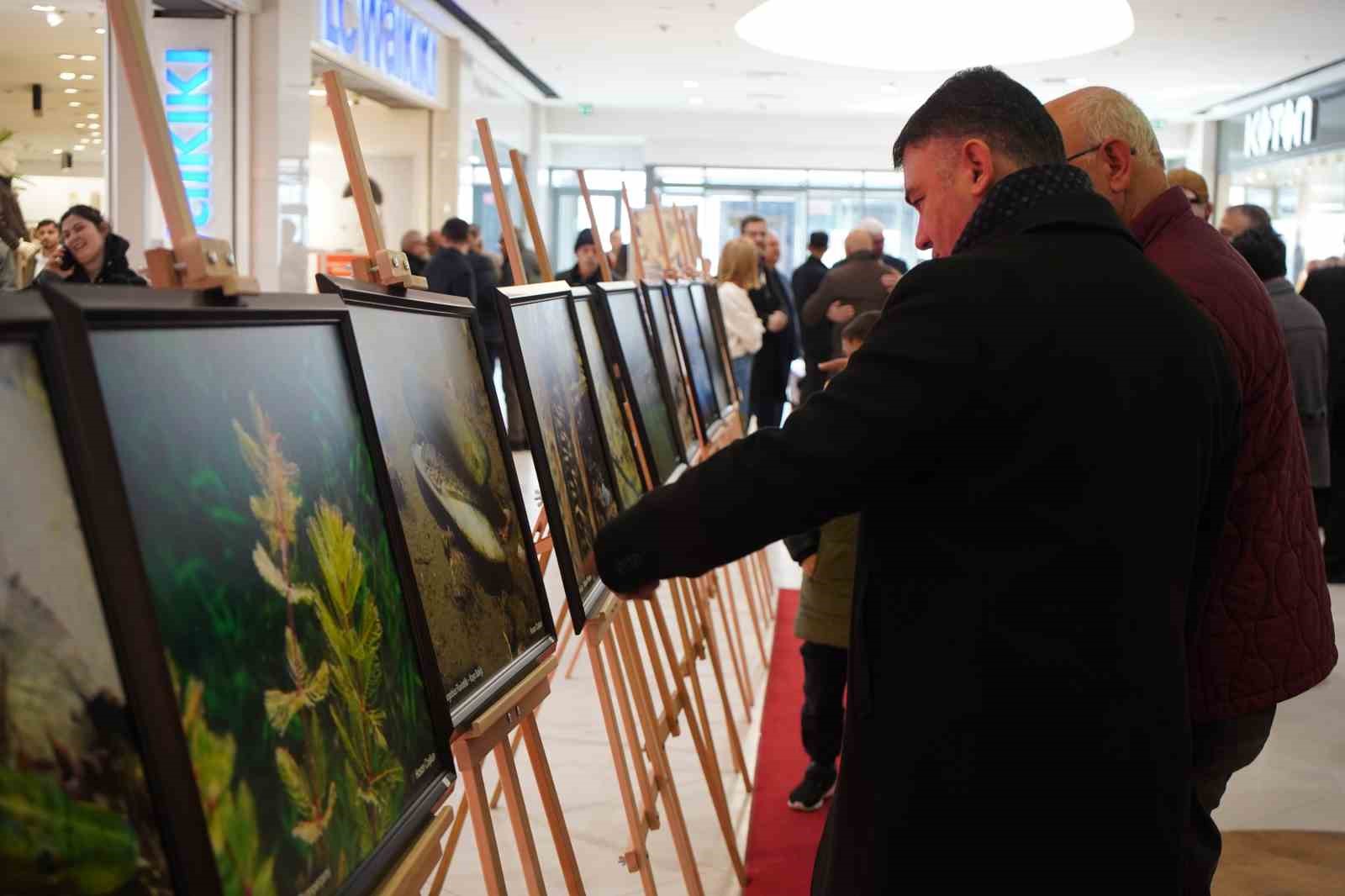 Sapanca Gölü fotoğrafları Gazze için umuda dönüştü: Geliri yetim ve öksüz çocuklara bağışlanacak

